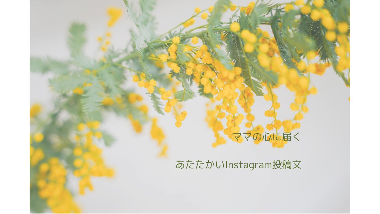 ママの心に届くあたたかいインスタ投稿文を作成します 子育て経験を活かし、ママに届くやさしい文章の言語化をお手伝い イメージ1