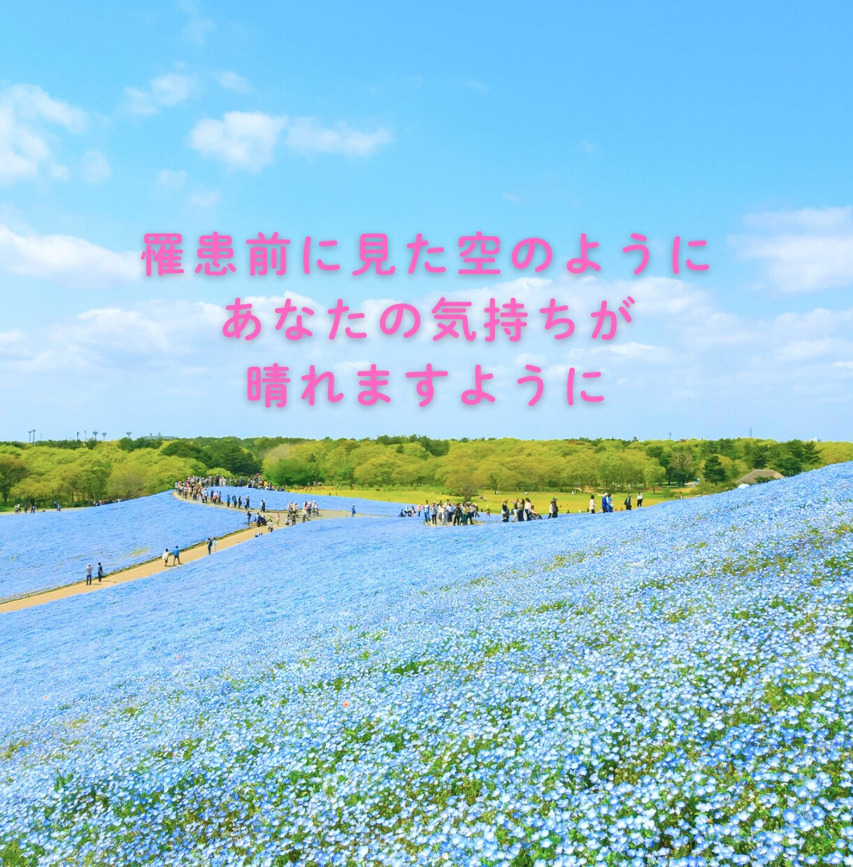 経験した私だからあなたのわからないに答えます 乳がん経験者ピンクリボンアドバイザー治療に寄り添います イメージ9