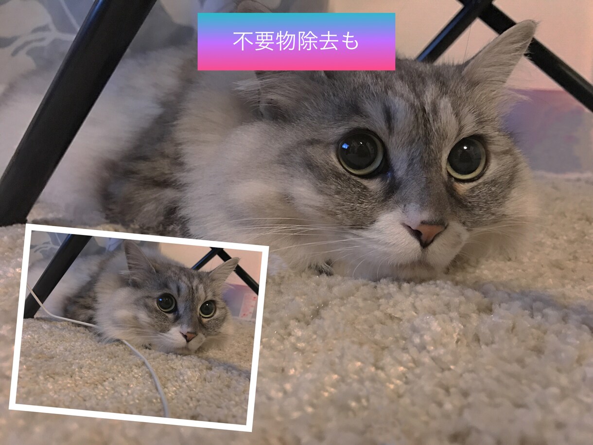 写真加工いたします あなたの思い出を最高の一枚に残しましょう！ イメージ5