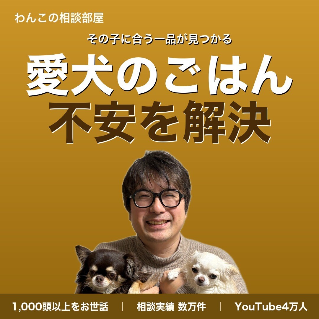 犬の食事やフードの不安を一緒に整理します 今のごはんが合っているか 迷っている方へ イメージ1