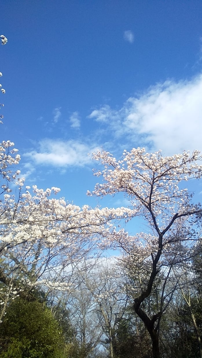 資格有✨W不倫のお悩み男性目線で優しく寄り添います 秘密厳守！誰にも言えない複雑恋愛のつらさを吐き出しませんか？ イメージ4