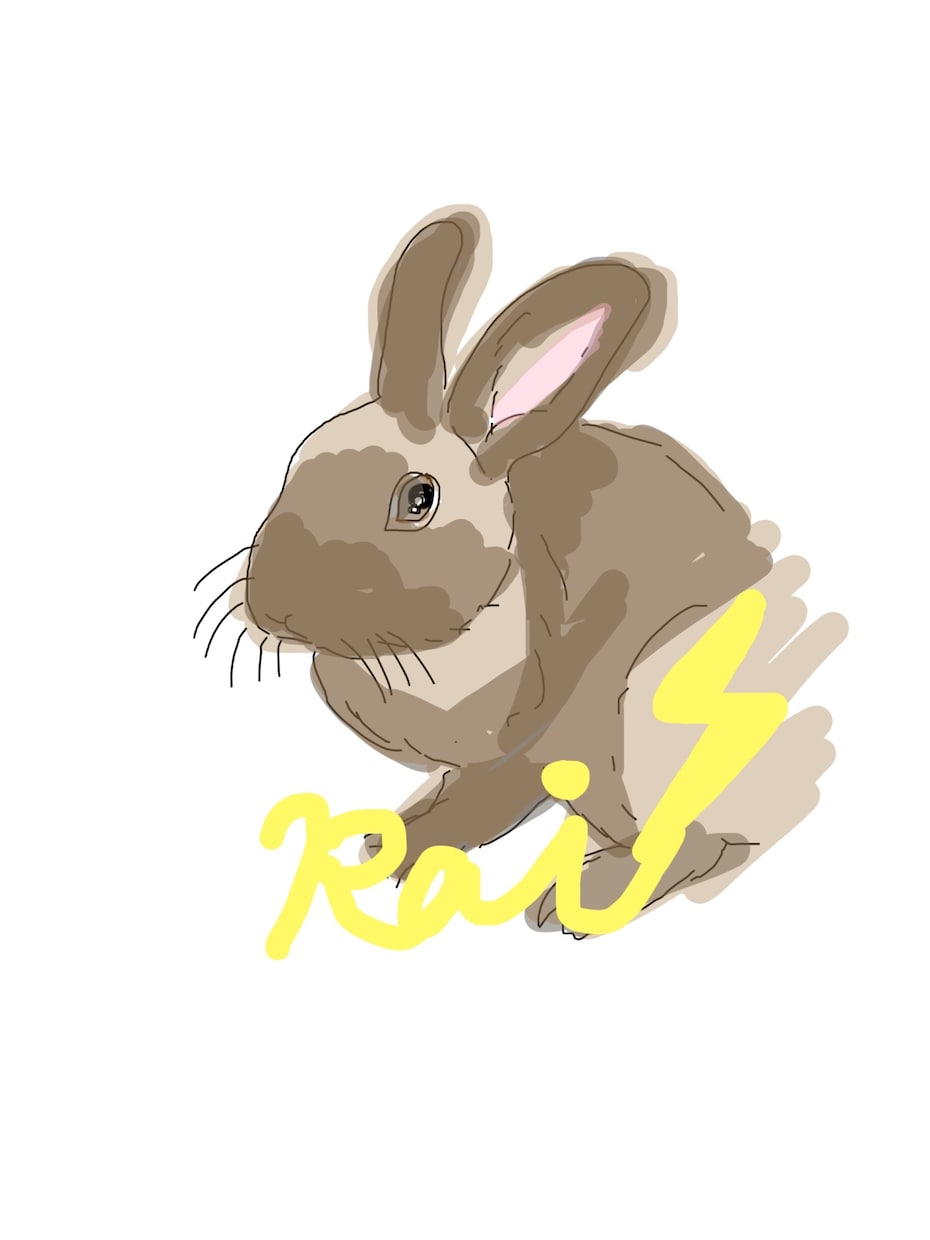 ペットの絵を5枚描きます 大事なペットの思い出を残しましょう！お手伝いさせてください！ イメージ9