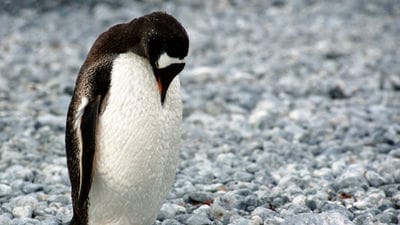 あなたの人生から不安を消すたった1つの方法教えます もう不安と隣り合わせの窮屈で、息苦しい生き方は捨てましょう。 イメージ1