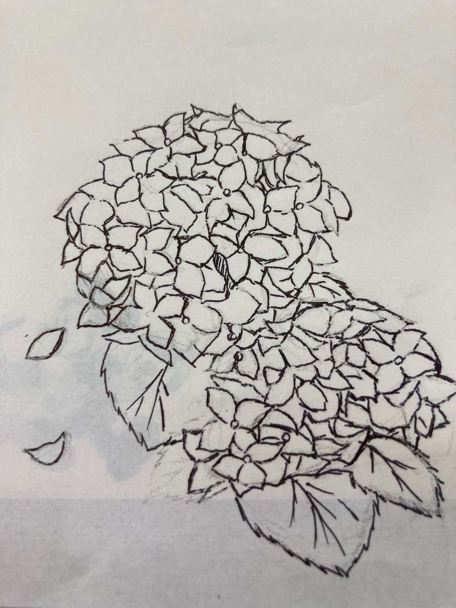 好きなお花や家族の一員ペットの似顔絵描きます 鉛筆、ボールペンのみで仕上げます✏️色はつきません。 イメージ1