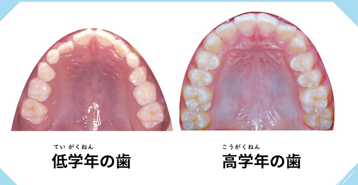 養護教諭|すぐに使える保健指導スライドで作成します かわいく分かりやすい！すぐ使える保健指導教材 イメージ7