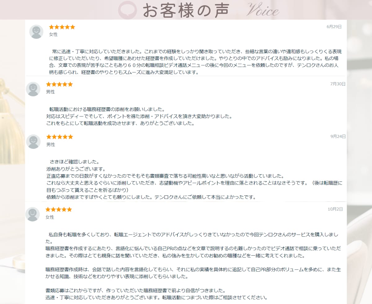 ビデオ通話付き！履歴書/職務経歴書代行・添削します 転職6回の経験者が自己PR作成や職務要約の添削や代行します イメージ2