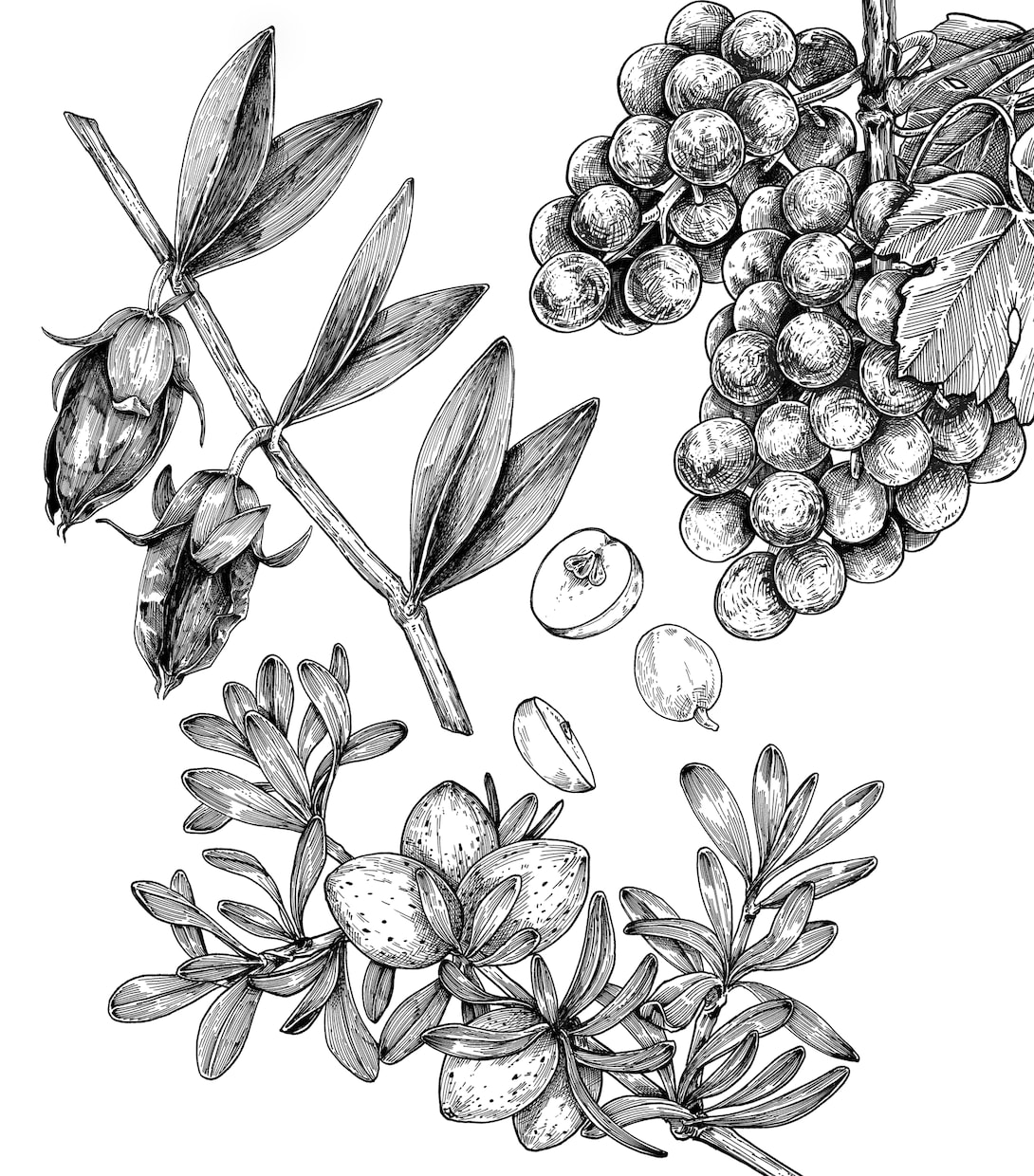 お洒落な手描き風のイラストを描きます 挿絵などに使用できそうなイラストを幅広く描きます。 イメージ2