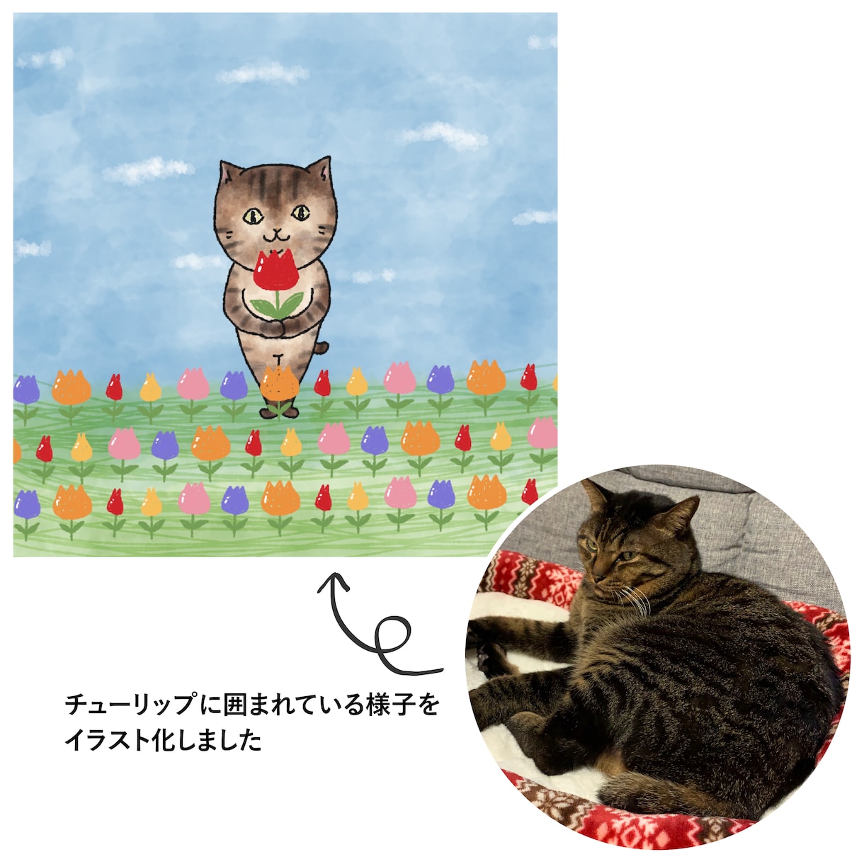 ペットや動物のゆるかわな水彩風イラストを描きます SNSのアイコン、挿絵、鑑賞やプレゼントにおすすめ！ イメージ4