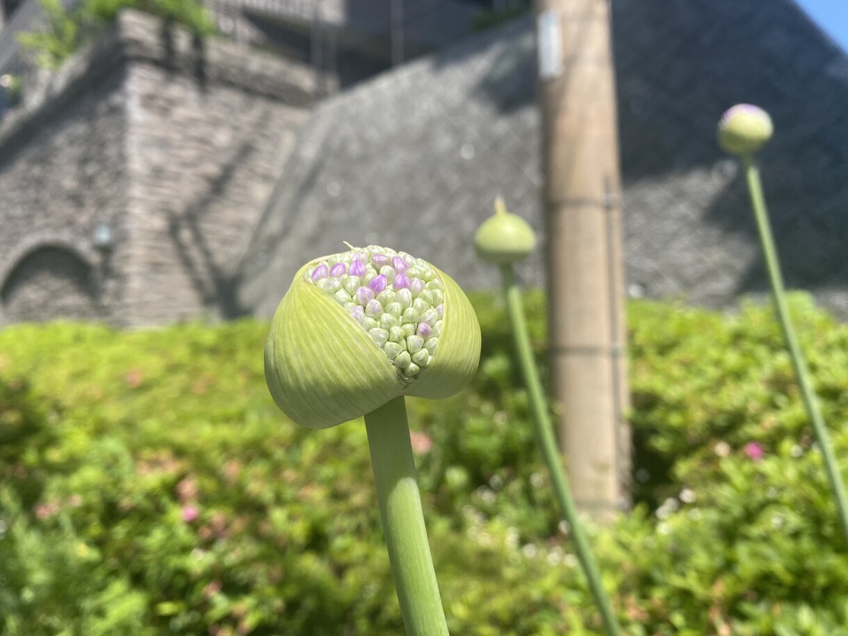 開運【未来像】とつながり【霊視タロット】で占います 3step現状→原因→対策で願いを叶える☆ イメージ1