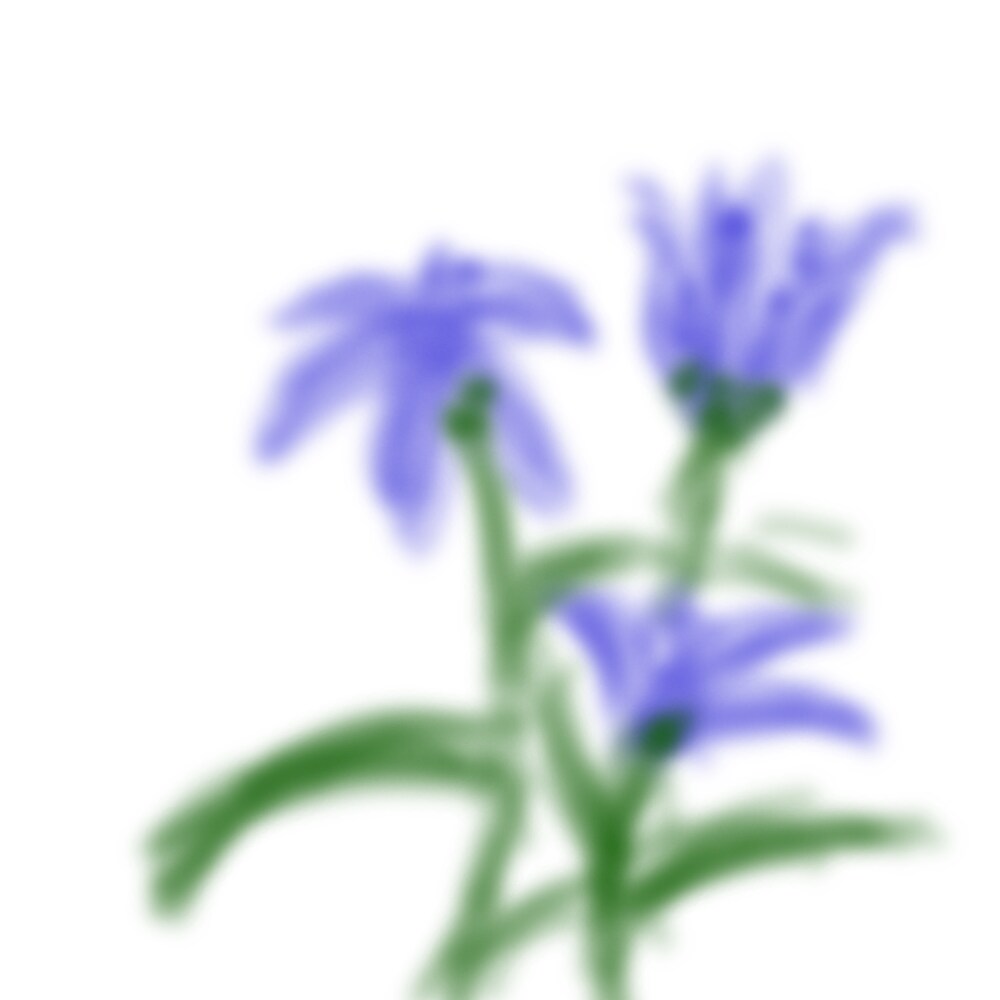 お花をメインに描いています ふんわりとした花の絵をメインに描いています イメージ2