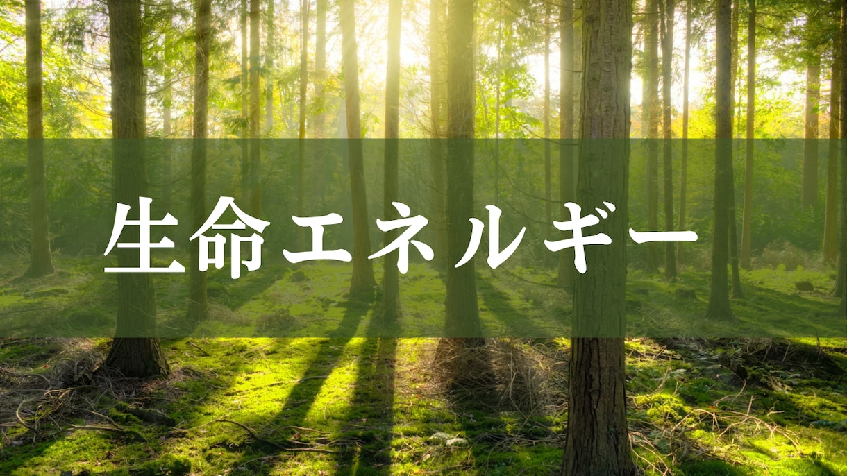 心身のバランスを整えるヒーリングを2週間届けます 免疫力を高めたい方、疲れの溜まっている方にオススメです イメージ1