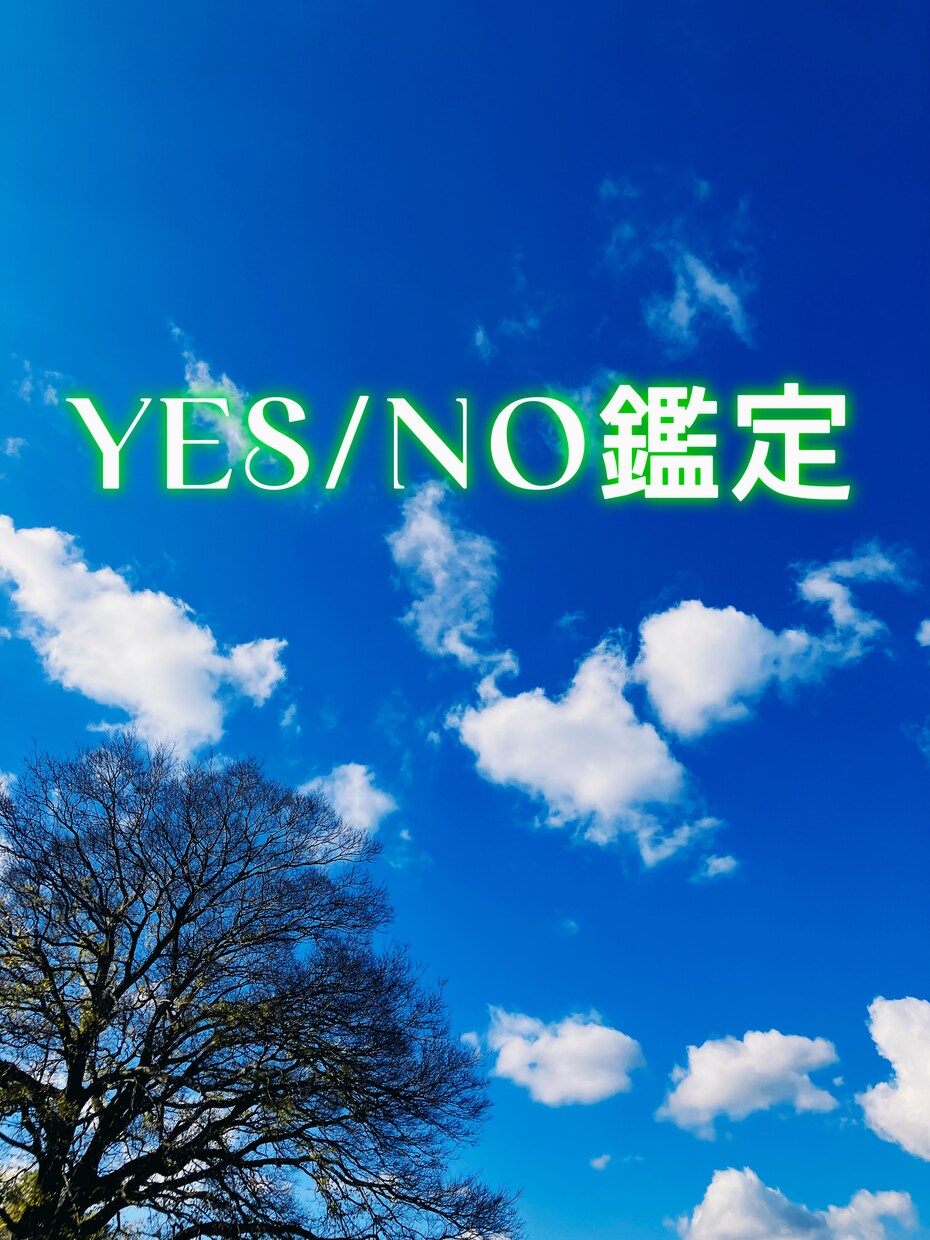 YES or NO鑑定します 霊視で今の不安や知りたい事、YES か NO でお答えします イメージ1