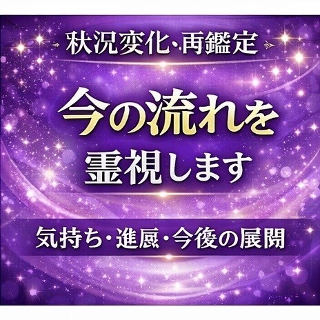今後の流れを再鑑定します 状況の変化や進展後の流れを丁寧に鑑定します イメージ1