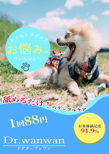 プロがInstagram投稿用の広告画像作ります 精一杯ご要望にお答えいたしますので一度ご相談ください イメージ3