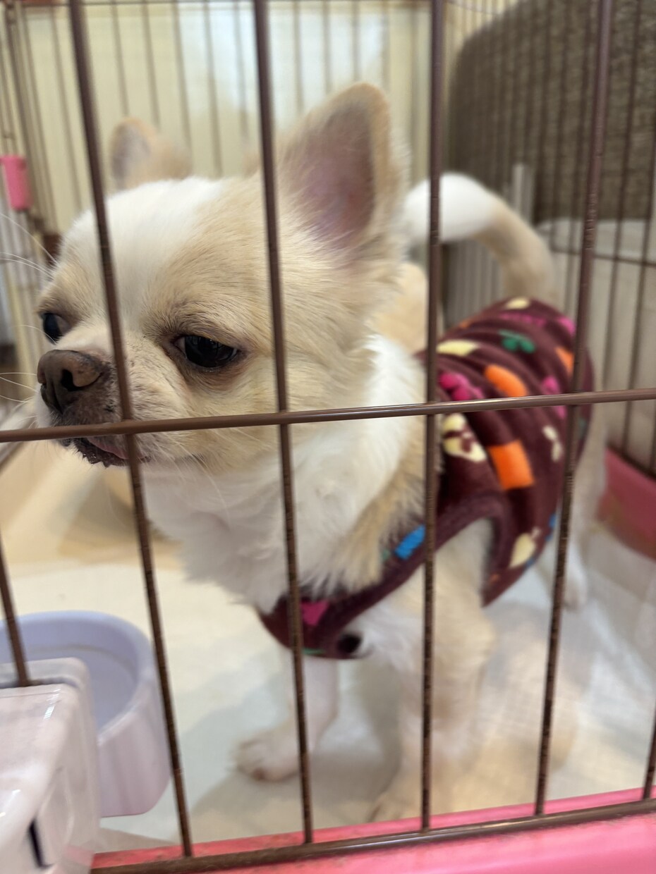 とりあえず聞いてほしい内容から深刻な悩み聞きます 復縁でもOKです。短時間でも対応致します。 イメージ1