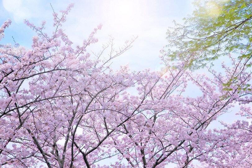 日常のモヤモヤや気になったことお話できます 愚痴聞きも得意です！人と話すだけでスッキリすることありますよ イメージ4
