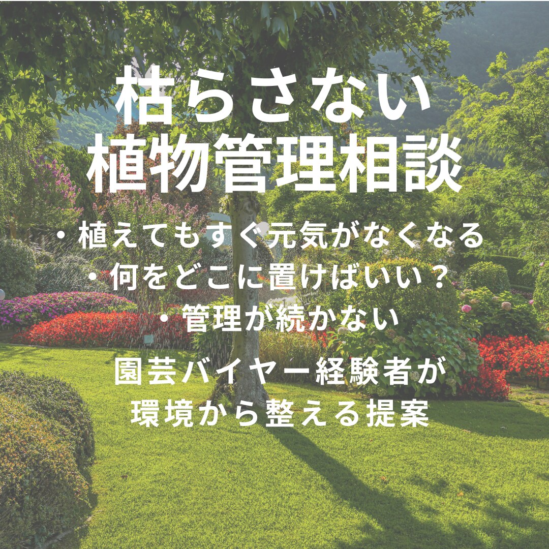 プロが植物の悩み解決します 初心者の方でも分かりやすく丁寧にアドバイスします イメージ1