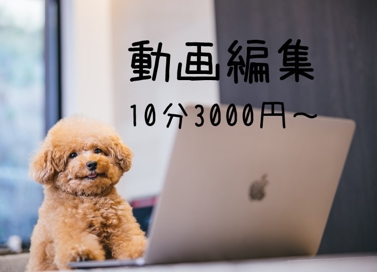 動画のカット・テロップ・SE・BGM入れやります 時間が足りない動画投稿者さんお手伝いします！ イメージ1