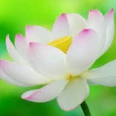 愚痴聞き、人間関係、会社辞めたい相談に乗ります 人生、話してスカッとしちゃおうね イメージ1