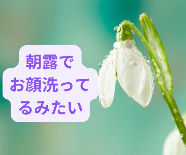 軽くしましょう。心の声聞きます それは本当あなたのやりたい事？周りに振り回されていませんか？ イメージ4