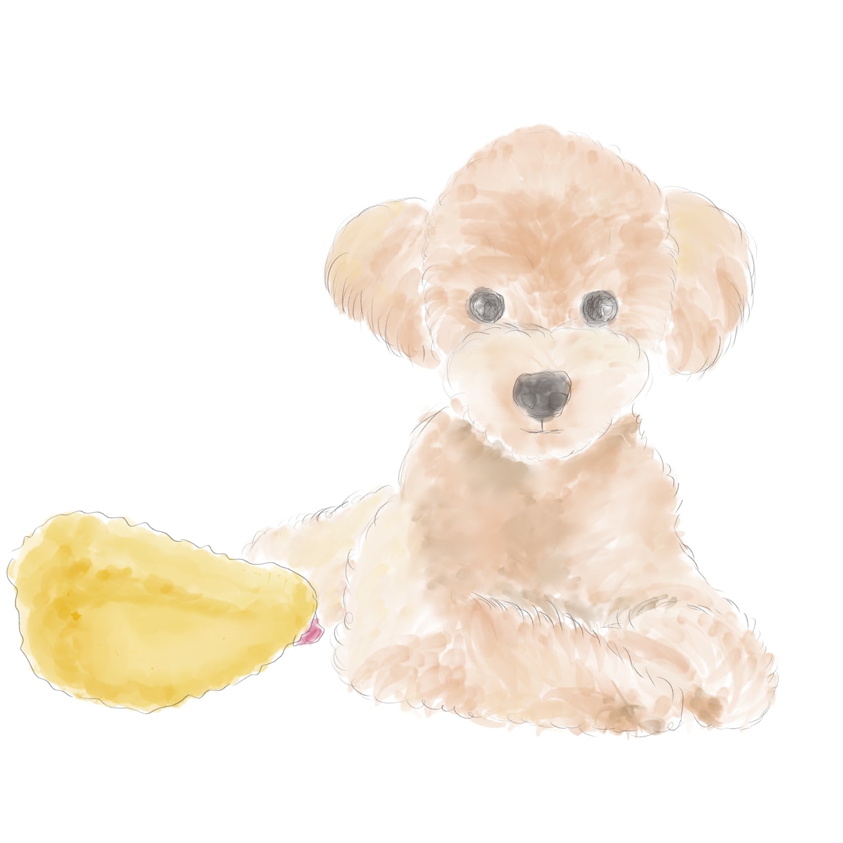 ペットのイラスト描きます 水彩ふんわりしたペットのイラストを描きます イメージ1