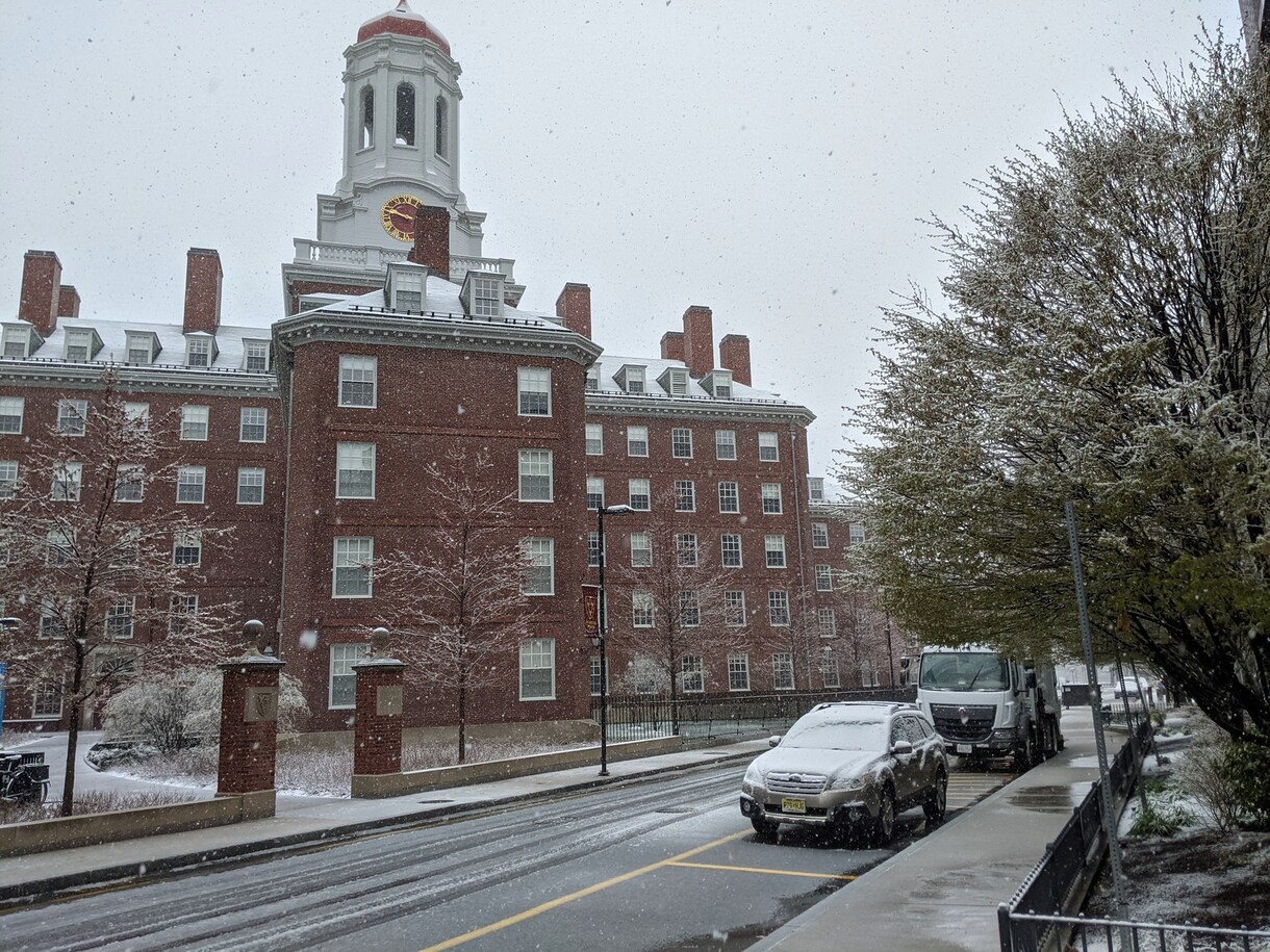 海外大学院博士課程卒業生が英会話します Harvard卒業生と英語で話しましょう！ イメージ1
