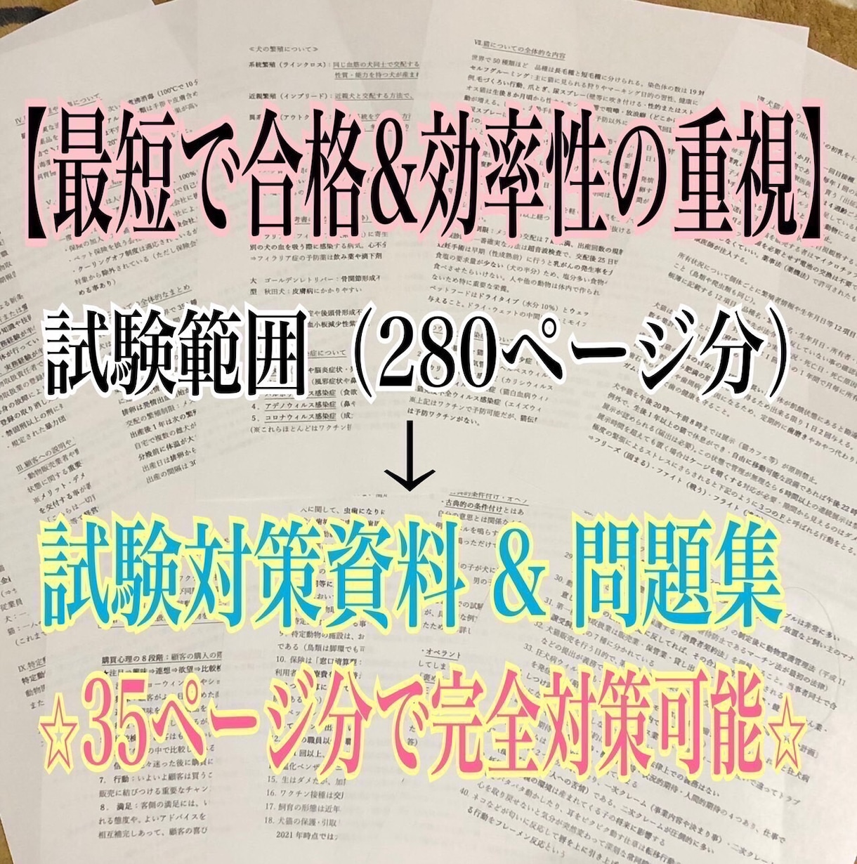 家庭動物管理士の過去問と対策テキストを提供します 【過去問〜今後の法改正まで全て集約】 イメージ3