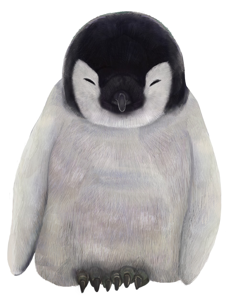 リアルなタッチでペットや動物のイラスト描きます 大切な可愛いペットの魅力をたっぷり表現します！ イメージ3