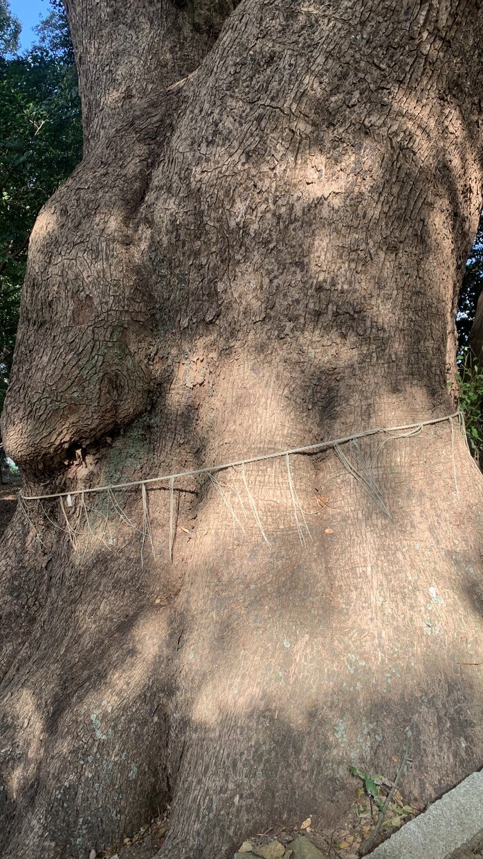写真をみて霊視や占いします 占い 霊視  写真をみてオーラや御相談をお受けします！ イメージ3