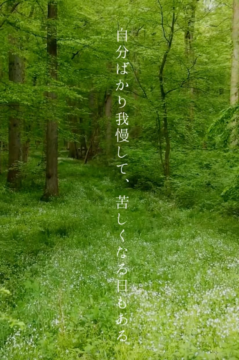 Canvaが苦手な方へ｜SNS投稿画像を作ります Canvaが苦手な方のSNS投稿をサポート致します！ イメージ8