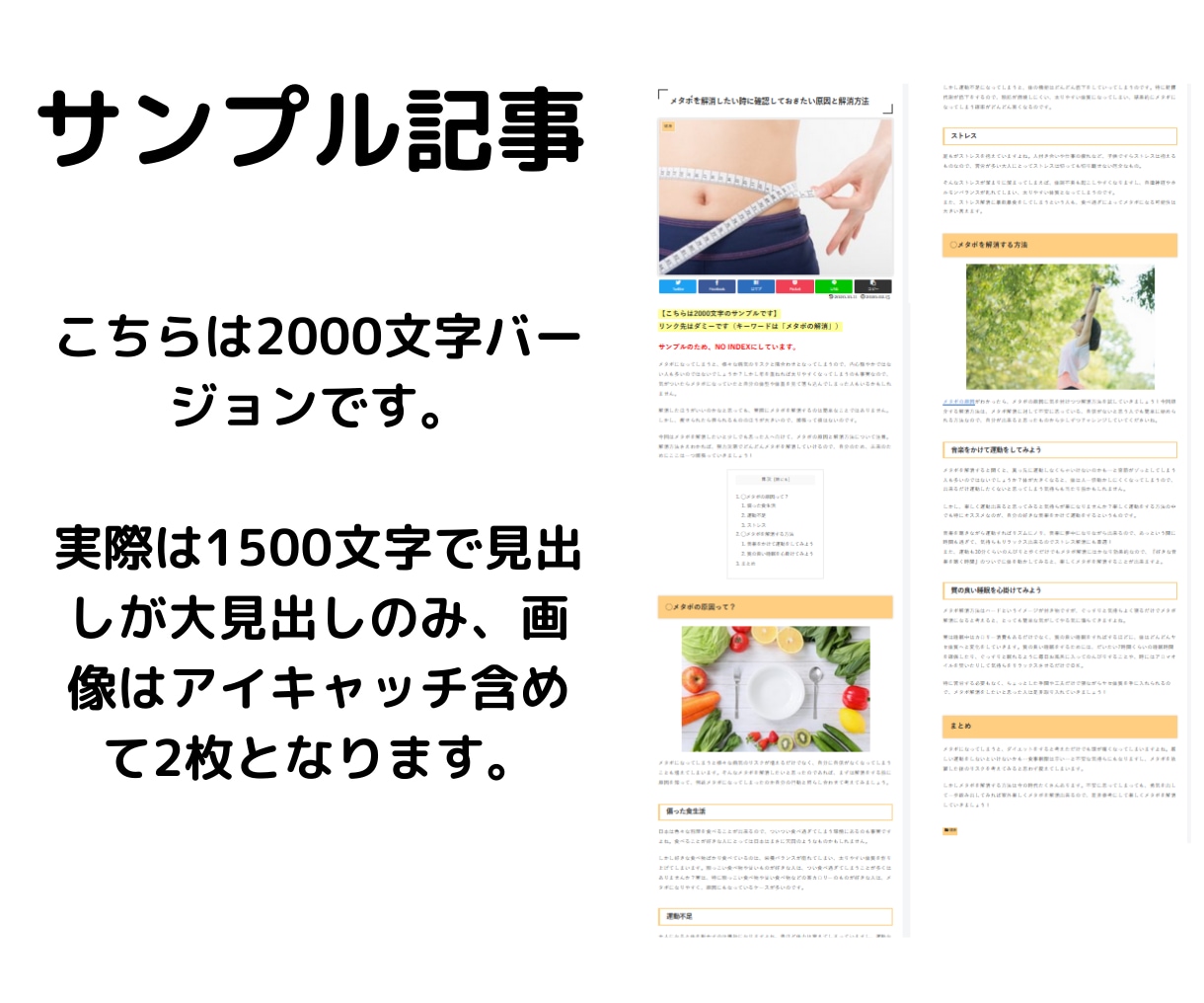 10本セット：サブドメ本格ブログからリンクします サーバーサブドメインで運用の本格ブログからナチュラルリンク イメージ3