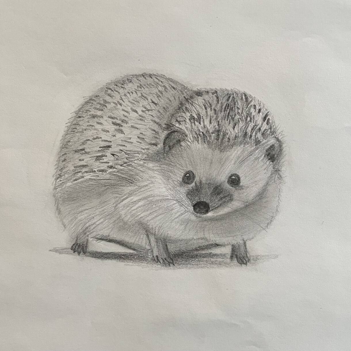 あなたの大好きなペットを描きます ふんわり優しいタッチのイラストが欲しい方へ イメージ3