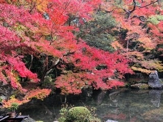 現役保健室の先生！30分間ぽんぽんチャットします 暇つぶしに♡ワンコインで気軽にチャットしましょ♡ イメージ3