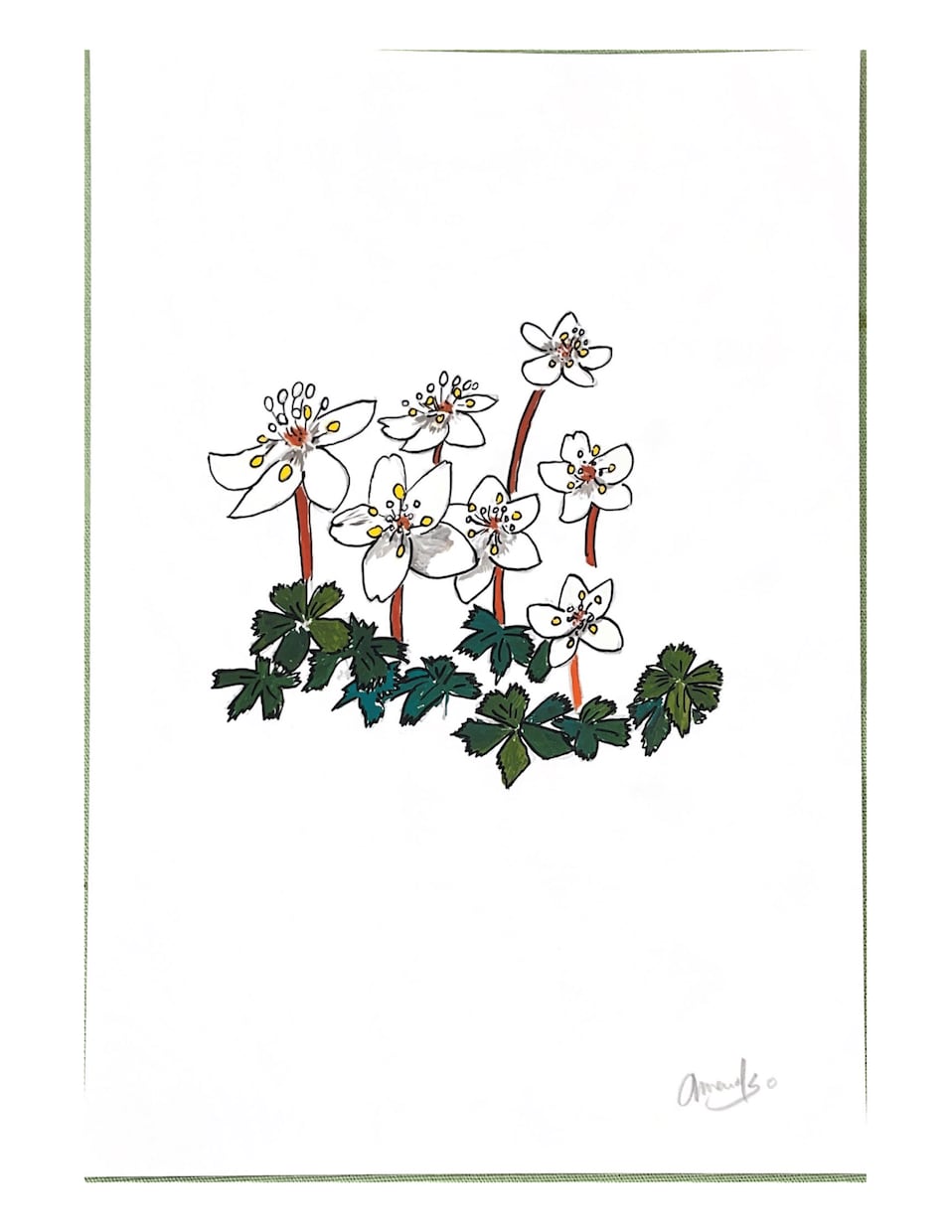 好きなお花を 鮮やかな手書きの一枚絵にします 色あざかやなデザイン画をお部屋のアクセントに！ イメージ4