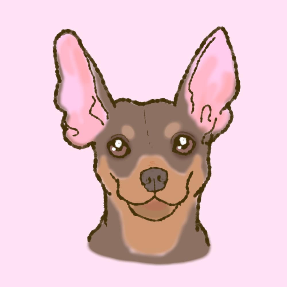 うちの子のデフォルメイラストを描きます うちの子を、可愛いイラストにしてアイコンや待ち受け画面に！ イメージ5