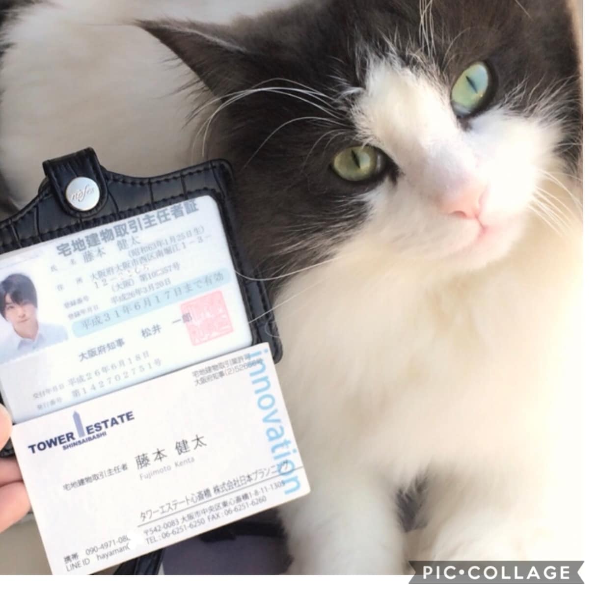 夜職専門の不動産。仲介手数料無料にします 水商売専門です。条件教えて下さい、資料を送ります。 イメージ1