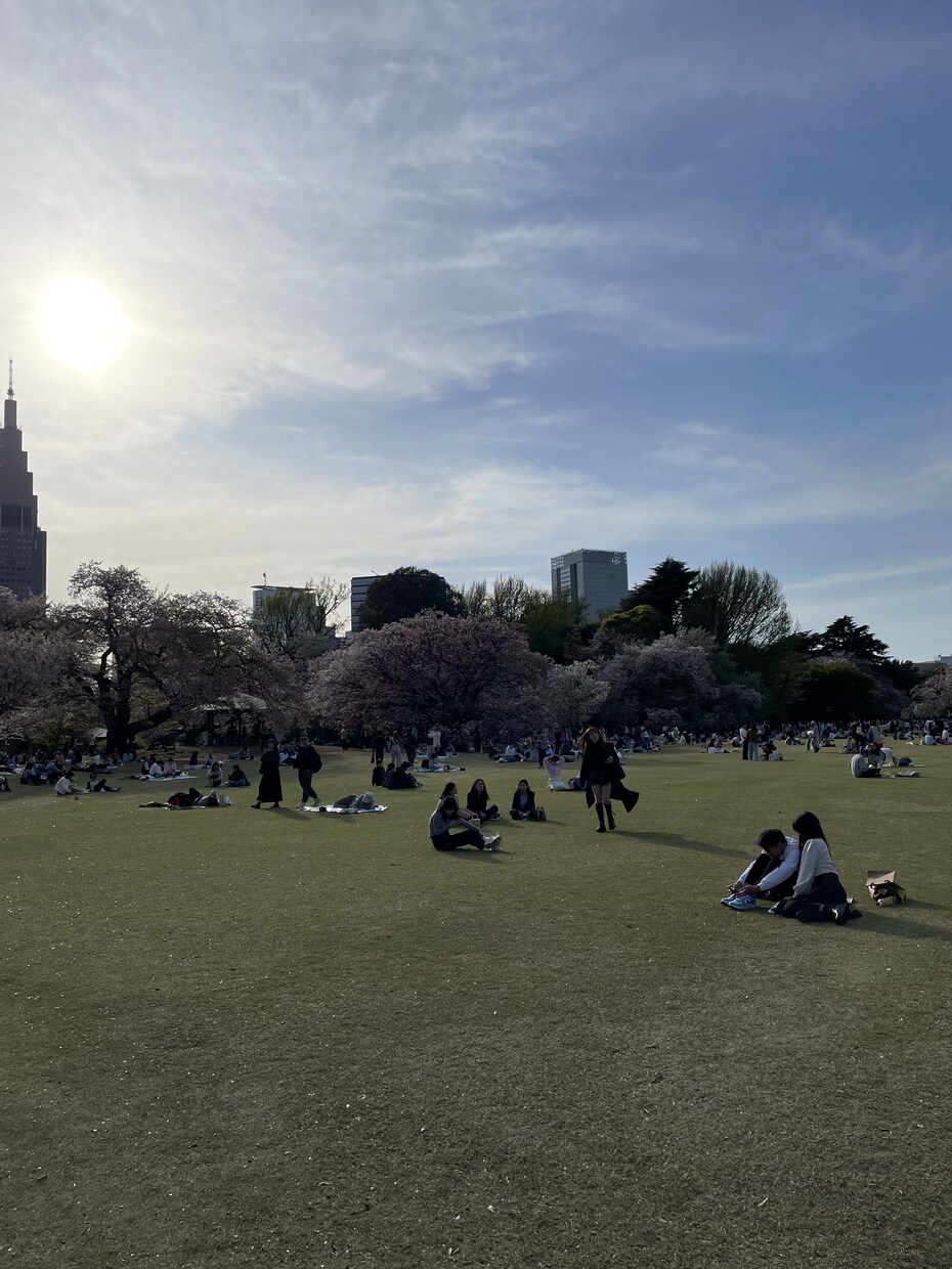 憧れの東京での暮らしを実現させます 上京に関わる不安解消をお手伝いします イメージ3