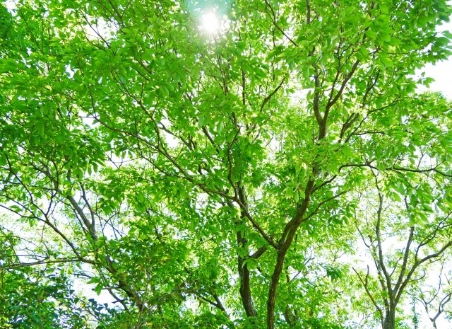 私はあなたの話す内容をもっと聞きたいと思っています 30分チャット✨雑談、愚痴、悩み相談、電話が苦手でも大丈夫！ イメージ2