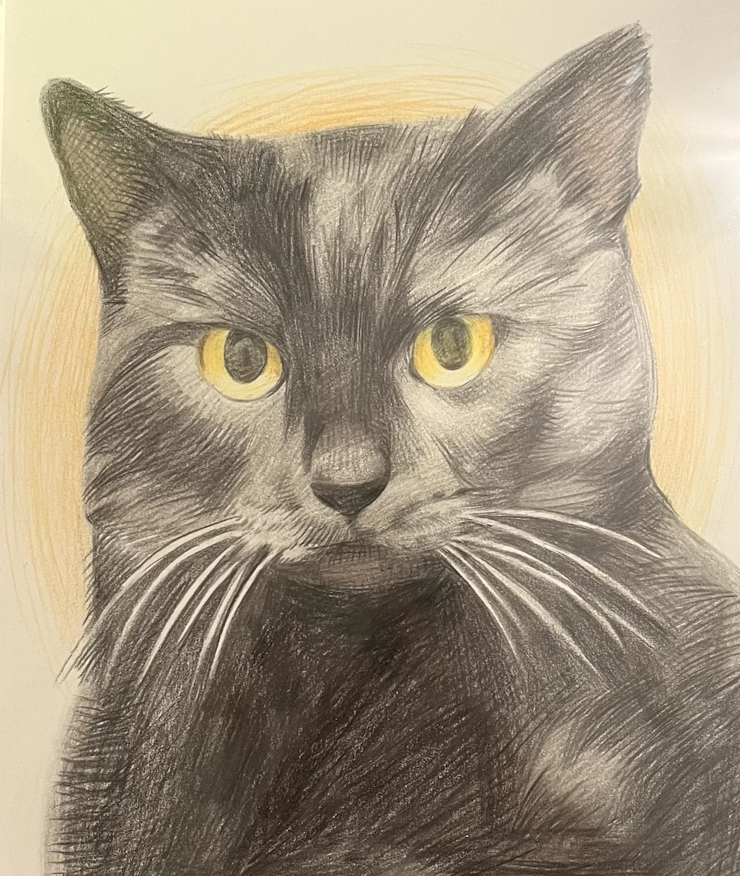 ペットの似顔絵お描きします 写真をもとに、色鉛筆の温もりあるタッチでお描きします イメージ3