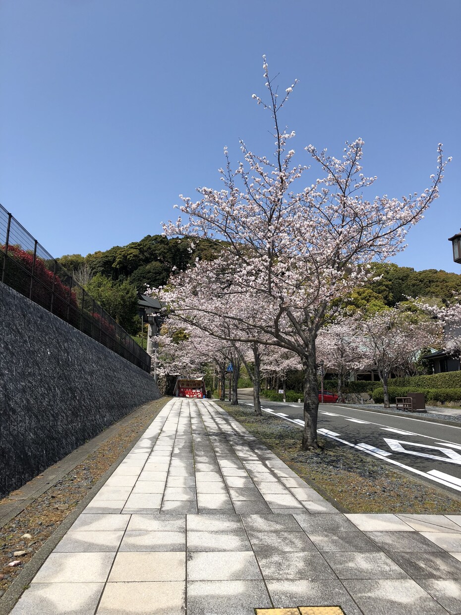 健康に関するコラムなどを書きます 健康や食事に関するコラムや文章をお書きします イメージ1
