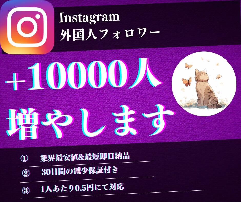 インスタ 外国人フォロワー10000人増やします 30日減少保証・最短即日納品・業界最安値・Instagram イメージ1