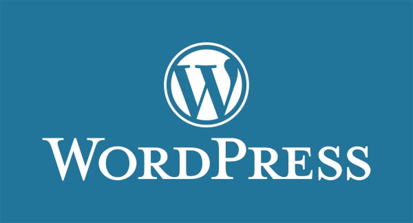 ワードプレスでのブログデビュー手伝います 無料ブログから卒業したい方、ブログ始めたい方応援キャンペーン イメージ1