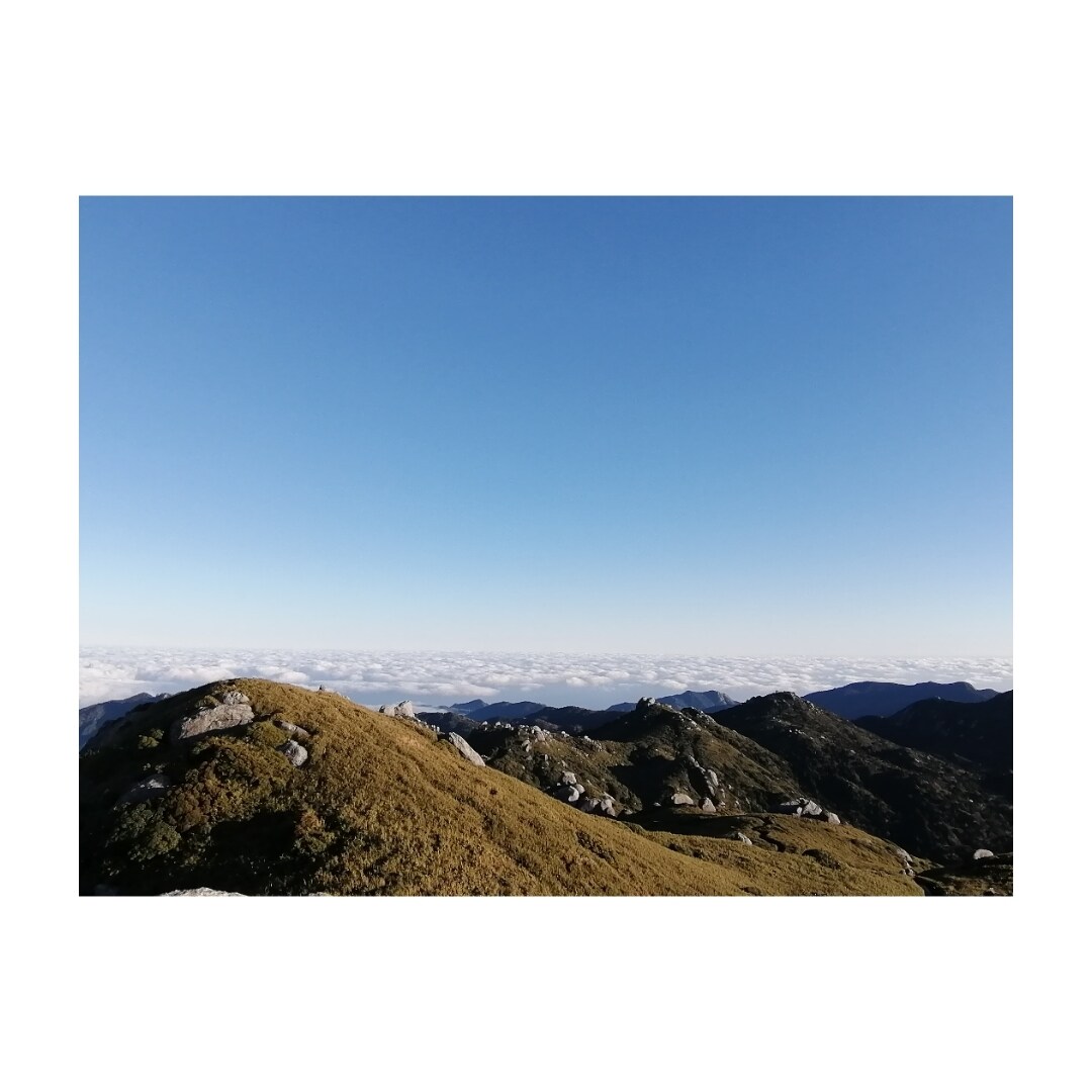 一人一人に最適な登山計画を提案します 初心者、女性にも対応可！植物研究者が提案するステキ山行！ イメージ4