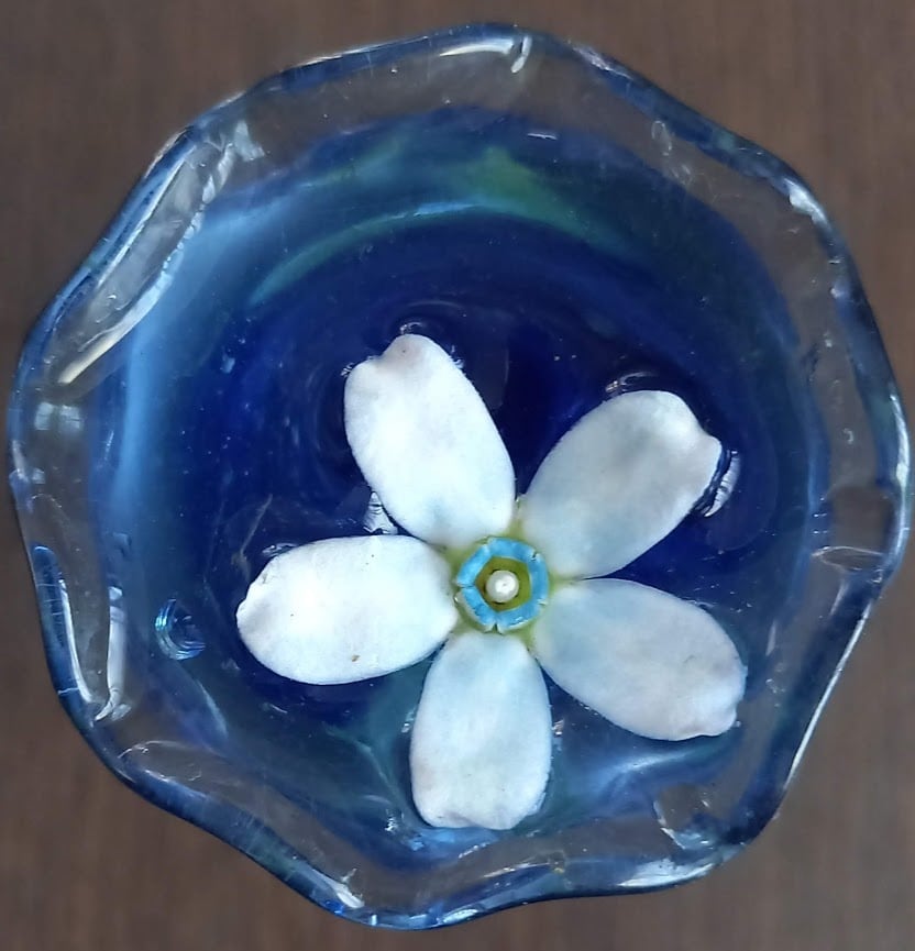 今のあなたの魅力を伝えるお花をお選びします 魅力を表すお花＆高次元のメッセージ＆未来を変えるセッション イメージ8