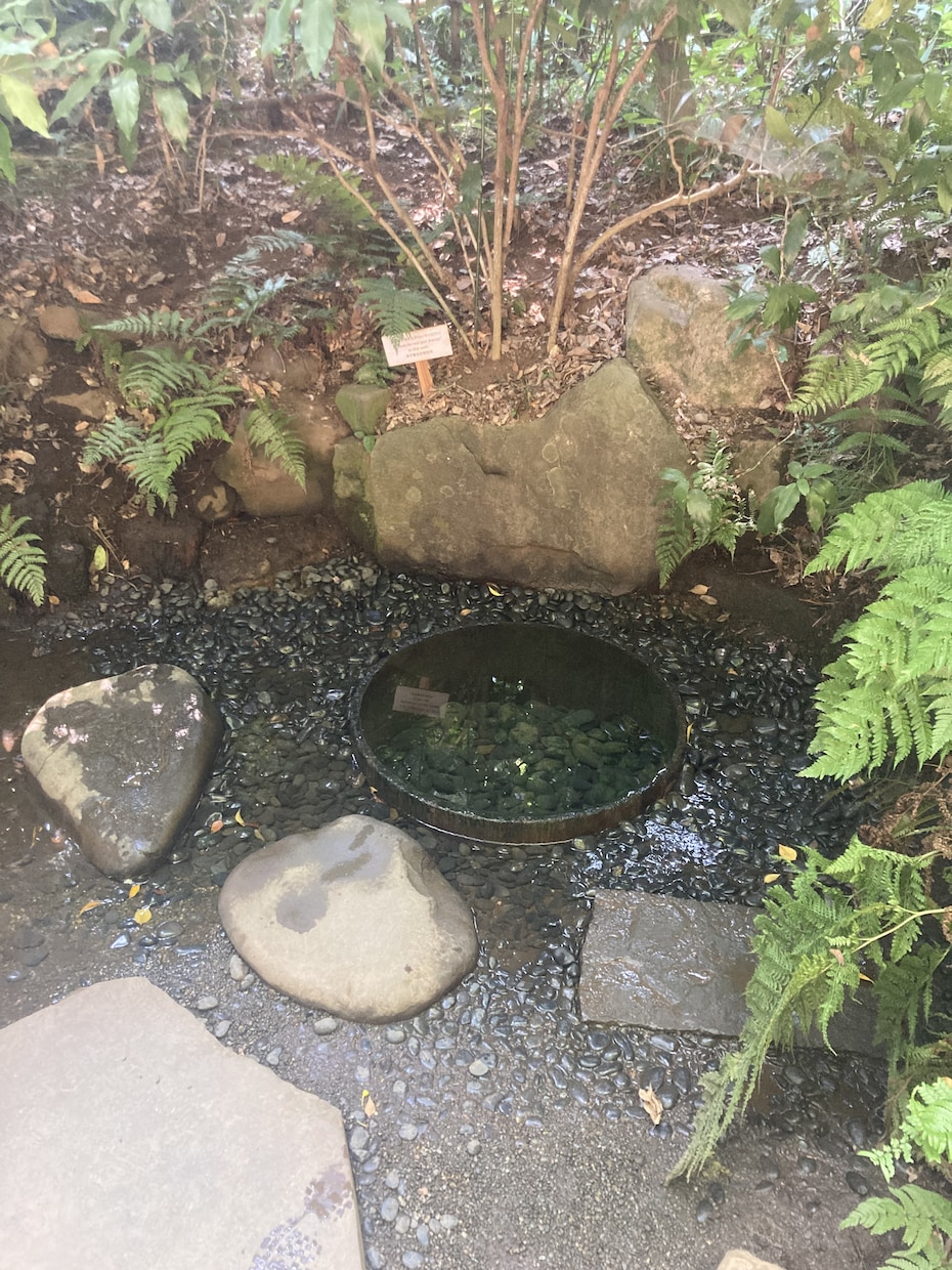 タロットでお悩み解決　恋愛・人生のヒントを届けます テーマに沿って質問を一緒に考えカードからの答えをお届けします イメージ1
