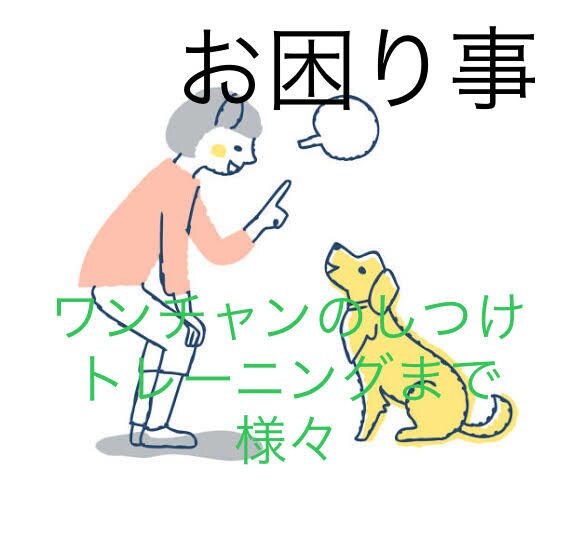 ワンチャンのしつけ〜トレーニングなんでも解決します お家でのおトイレ問題、お散歩での引張、吠えや様々なトリック イメージ1