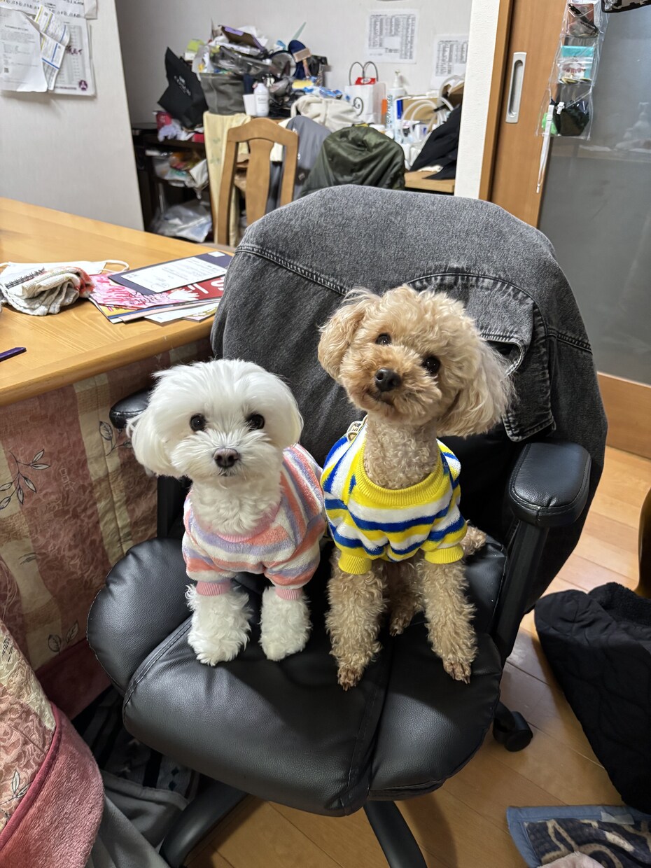 恋愛の悩み、人間関係の悩みお聞きします ゆったり話したいことをお話ししましょう！ イメージ2