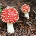 死にたいくらいに苦しい状況の方の話し相手になります 人生のピンチや、大きな不幸を感じた時、孤独を感じた時に イメージ1
