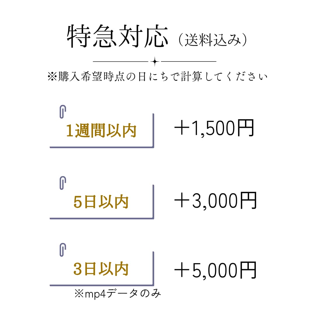 写真枚数制限なし！エンドロールムービー制作します セミオーダー or テンプレート対応！ISUM申請も◎ イメージ10
