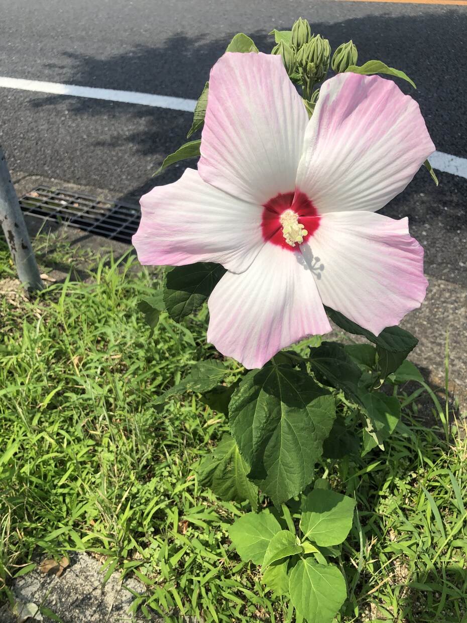 シンプルにあなたのお話を聞かせて頂きます ただ聞いてほしい！お気持ち受け止めます。 イメージ4